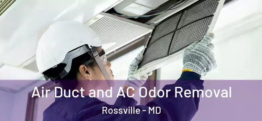  Air Duct and AC Odor Removal Rossville - MD