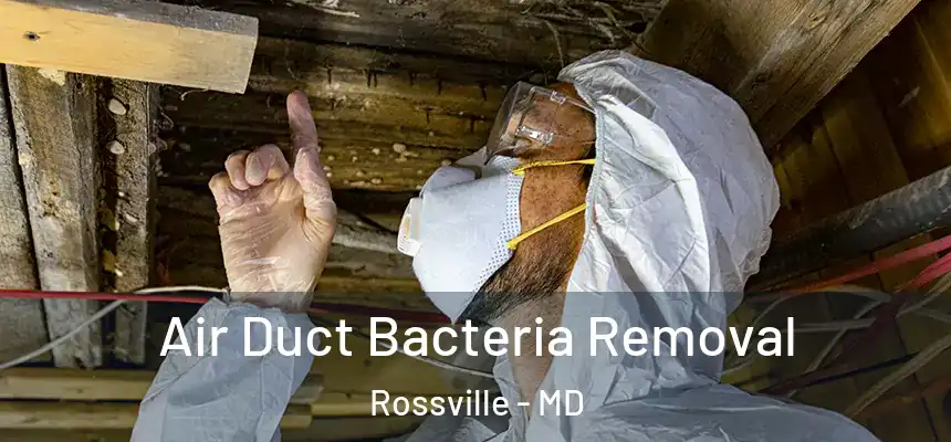  Air Duct Bacteria Removal Rossville - MD
