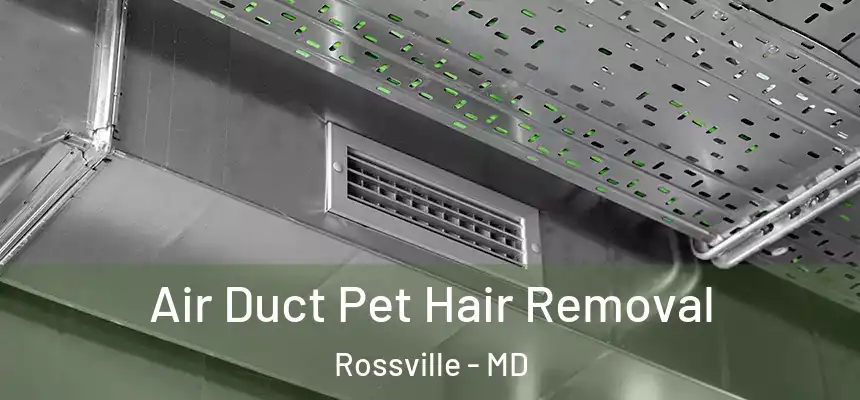  Air Duct Pet Hair Removal Rossville - MD