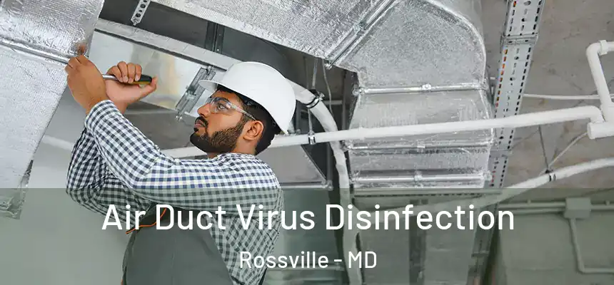  Air Duct Virus Disinfection Rossville - MD