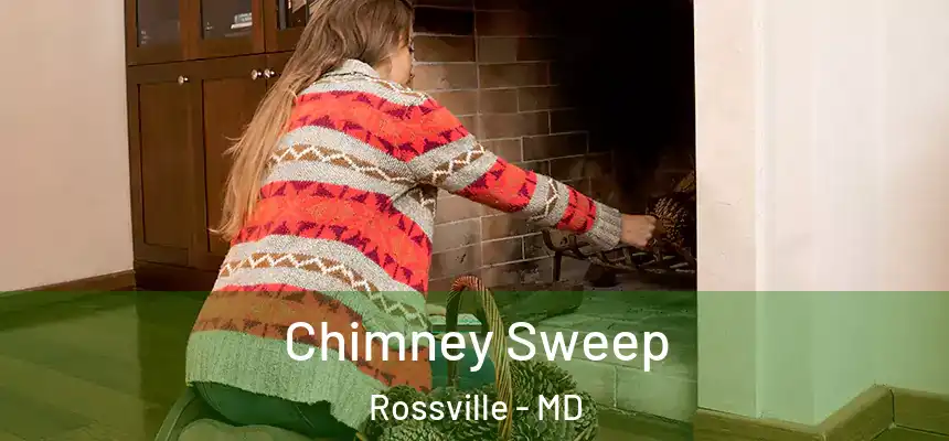  Chimney Sweep Rossville - MD
