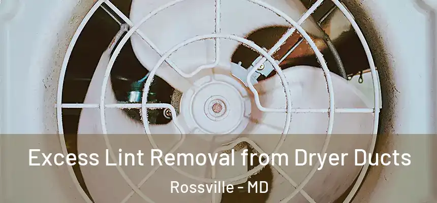  Excess Lint Removal from Dryer Ducts Rossville - MD