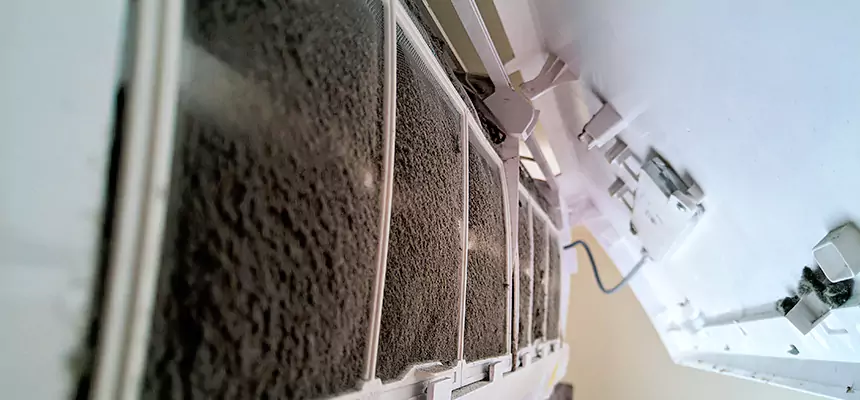 Preventive Air Duct Bacteria Removal in Rossville