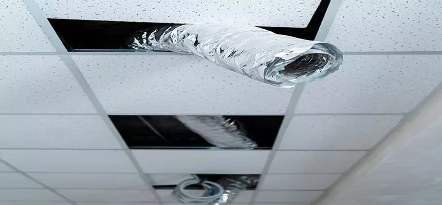 Affordable HVAC Sanitizing After Pest Removal in Rossville