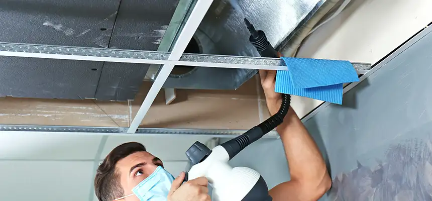 Our Air Duct Rodent Removal Services in Rossville, MD