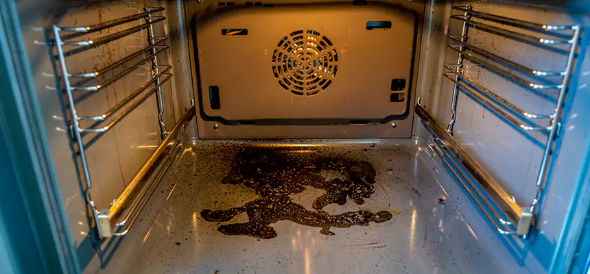 Our Dryer Vent Mold Cleaning Services in Rossville, MD