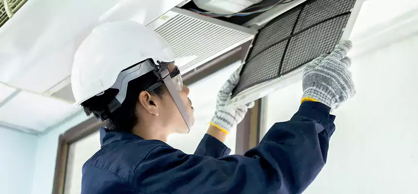 Our Mold & Mildew Removal from Air Ducts Services in Rossville, MD