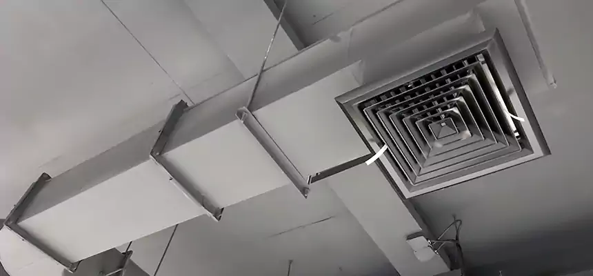 Our Pest Removal From Ducts Services in Rossville, MD