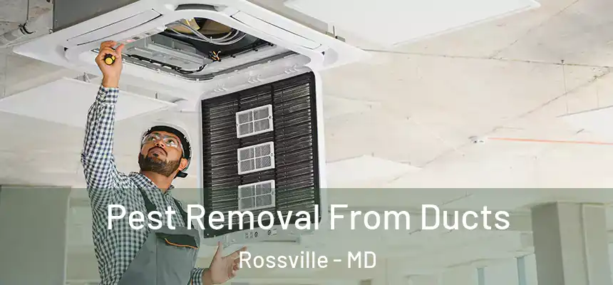  Pest Removal From Ducts Rossville - MD