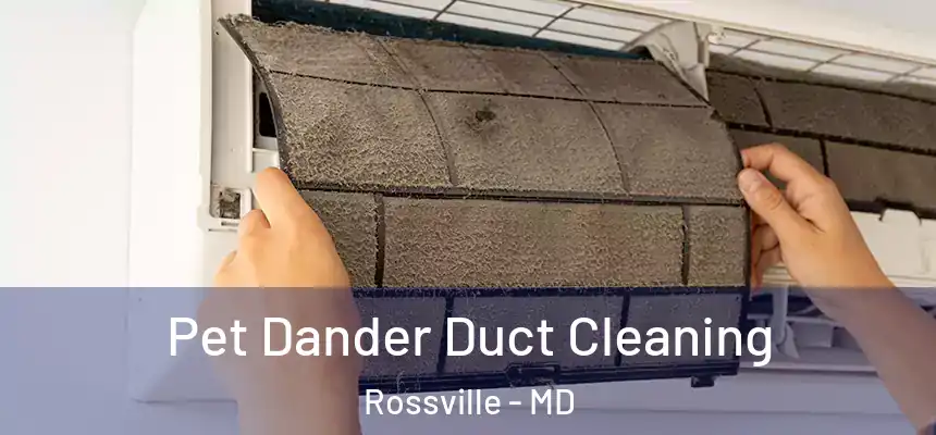  Pet Dander Duct Cleaning Rossville - MD