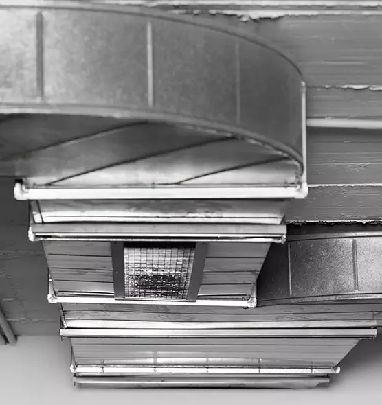 Professional Air Duct Pest Removal in Rossville, MD