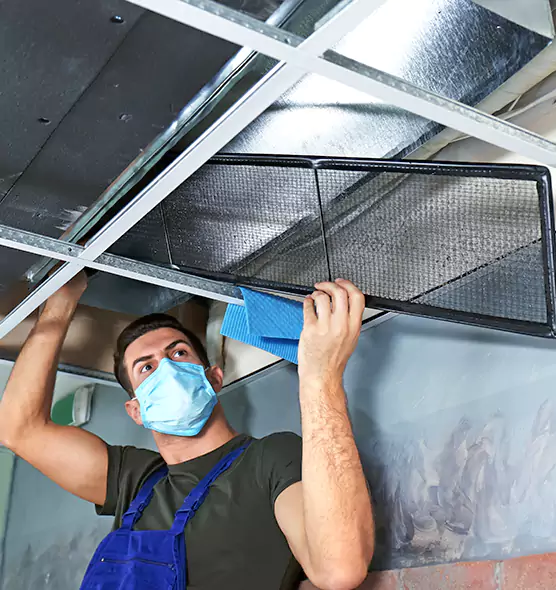Professional Air Duct Pollen Cleaning in Rossville, MD