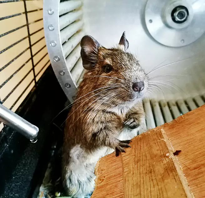 Why Homeowners & Businesses Trust Us Rossville, MD