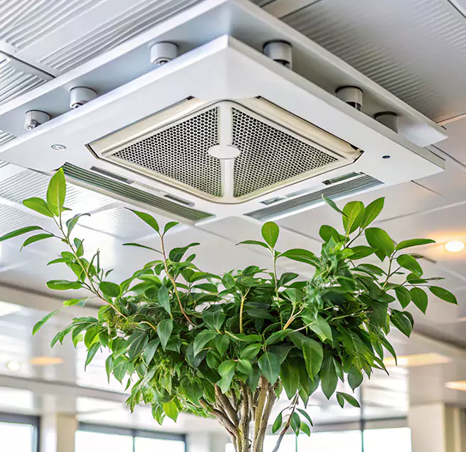 Why Homeowners & Businesses Trust Us in Rossville, MD